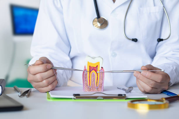 Best Emergency Orthodontic Repairs in Tremont, IL